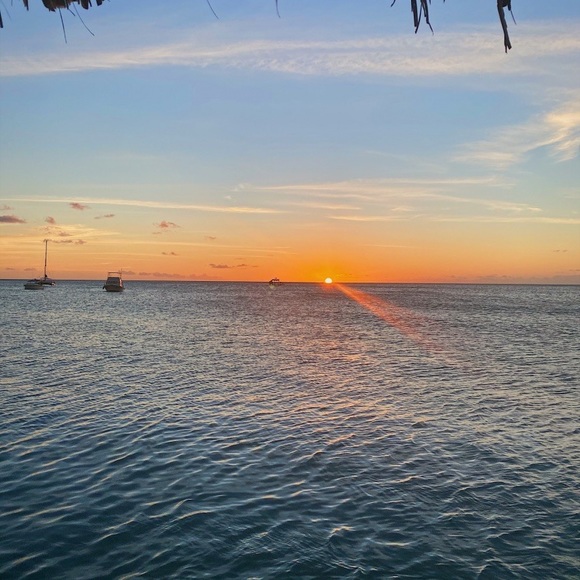 Meet your Posher, Sofia - Picture 1 of 1